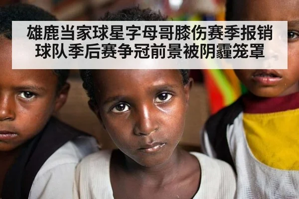 雄鹿当家球星字母哥膝伤赛季报销 球队季后赛争冠前景被阴霾笼罩